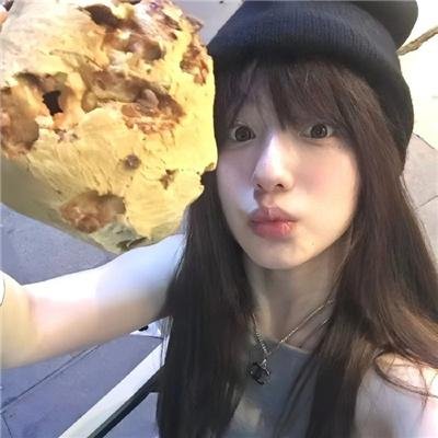 特洛伊艾迪